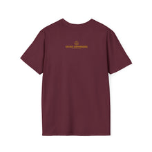 Load image into Gallery viewer, "I Am A Professional" Softstyle T-Shirt