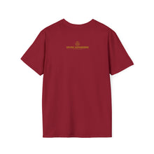 Load image into Gallery viewer, "I Am A Professional" Softstyle T-Shirt