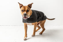 Load image into Gallery viewer, Dog Blanket Jacket - Black