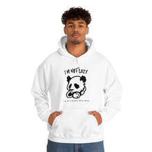 Load image into Gallery viewer, "Not Lazy Panda" Unisex Heavy Blend™ Hooded Sweatshirt