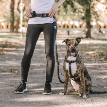Load image into Gallery viewer, Waist Belt &amp; Bungee Leash