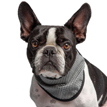 Load image into Gallery viewer, US Army Dog Cooling Bandana - Grey