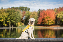 Load image into Gallery viewer, Life Vest - Dog Life Jacket